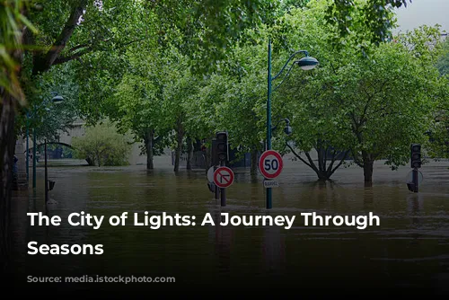 The City of Lights: A Journey Through the Seasons