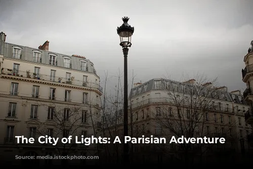 The City of Lights: A Parisian Adventure Awaits