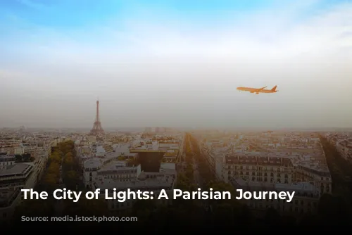  The City of Lights: A Parisian Journey 