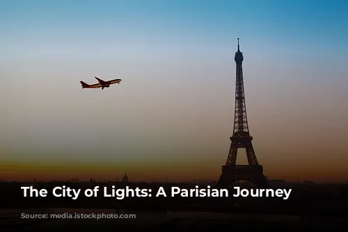  The City of Lights: A Parisian Journey 