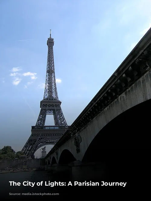  The City of Lights: A Parisian Journey 