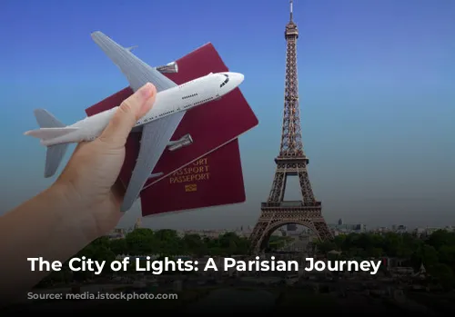  The City of Lights: A Parisian Journey 