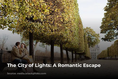 The City of Lights: A Romantic Escape