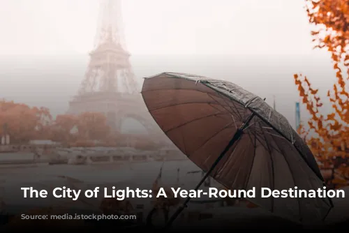 The City of Lights: A Year-Round Destination