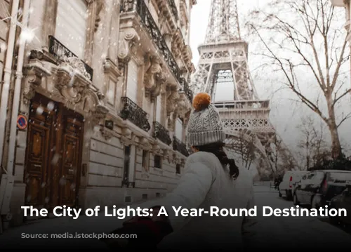 The City of Lights: A Year-Round Destination