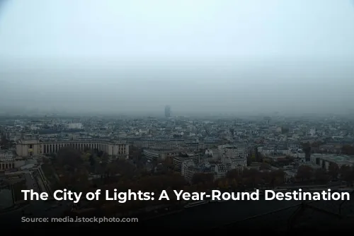 The City of Lights: A Year-Round Destination