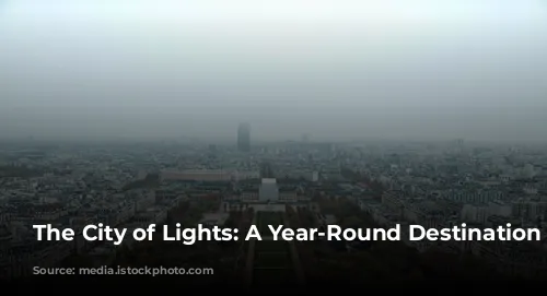 The City of Lights: A Year-Round Destination