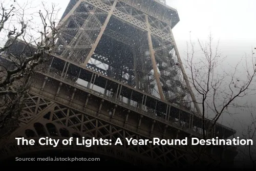 The City of Lights: A Year-Round Destination