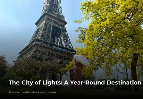 The City of Lights: A Year-Round Destination