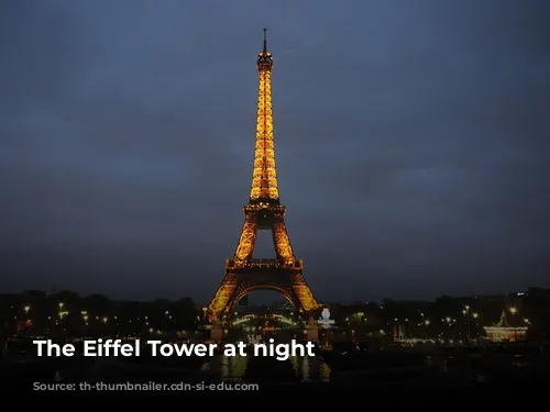 The Eiffel Tower at night