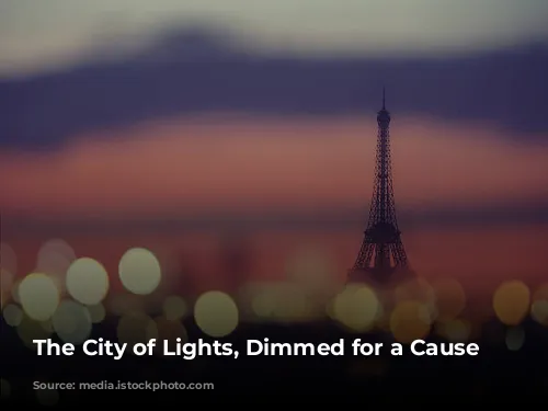 The City of Lights, Dimmed for a Cause