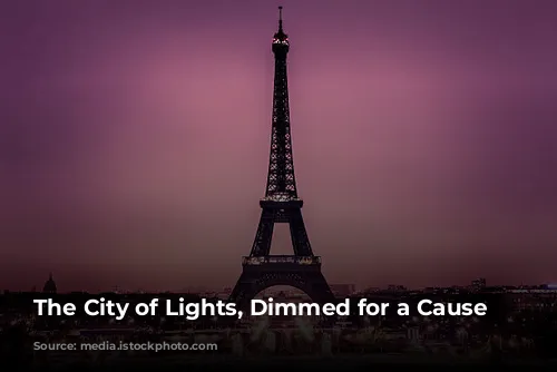 The City of Lights, Dimmed for a Cause