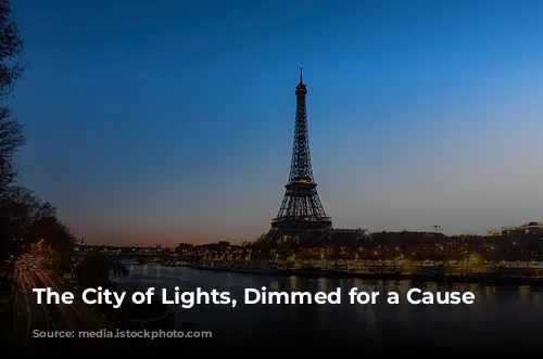 The City of Lights, Dimmed for a Cause