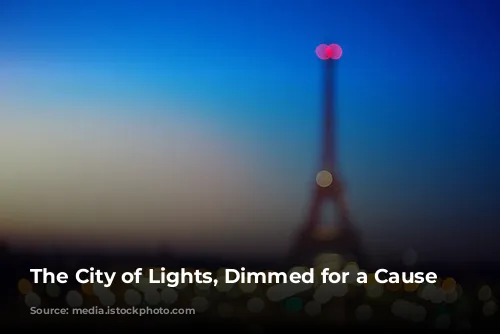 The City of Lights, Dimmed for a Cause