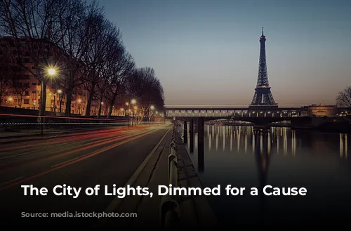 The City of Lights, Dimmed for a Cause