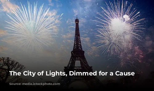 The City of Lights, Dimmed for a Cause