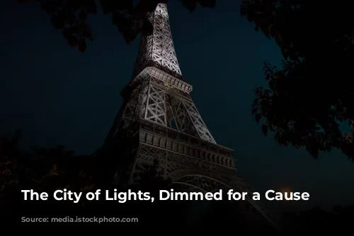 The City of Lights, Dimmed for a Cause