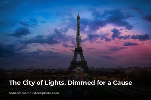 The City of Lights, Dimmed for a Cause