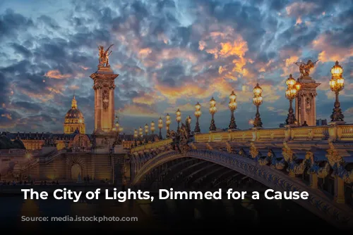 The City of Lights, Dimmed for a Cause