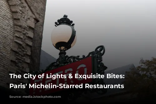 The City of Lights & Exquisite Bites: Exploring Paris' Michelin-Starred Restaurants