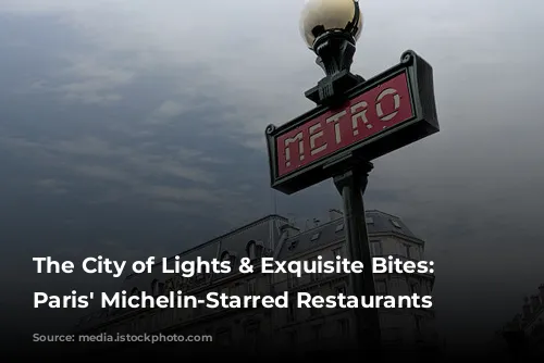 The City of Lights & Exquisite Bites: Exploring Paris' Michelin-Starred Restaurants