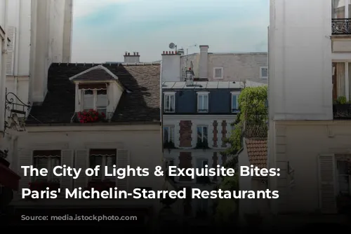 The City of Lights & Exquisite Bites: Exploring Paris' Michelin-Starred Restaurants