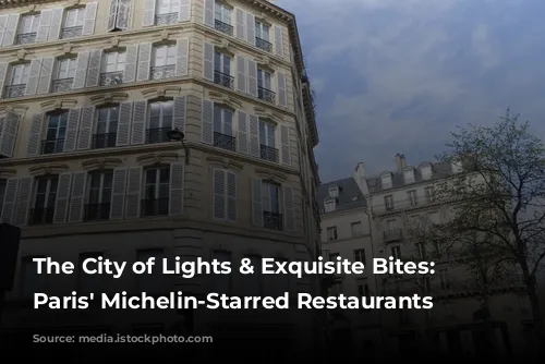 The City of Lights & Exquisite Bites: Exploring Paris' Michelin-Starred Restaurants