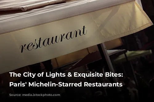 The City of Lights & Exquisite Bites: Exploring Paris' Michelin-Starred Restaurants