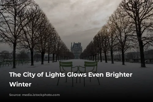 The City of Lights Glows Even Brighter in Winter