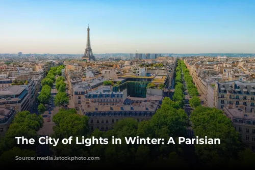 The City of Lights in Winter: A Parisian Wonderland