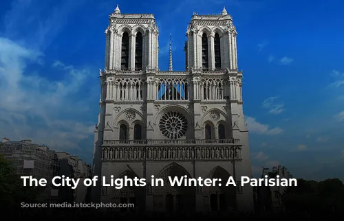 The City of Lights in Winter: A Parisian Wonderland