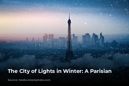 The City of Lights in Winter: A Parisian Wonderland