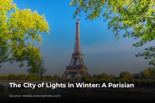 The City of Lights in Winter: A Parisian Wonderland