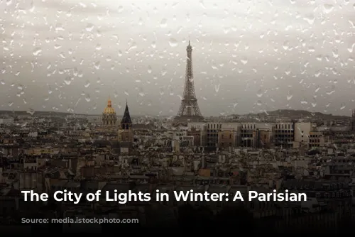 The City of Lights in Winter: A Parisian Wonderland