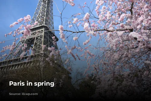 Paris in spring