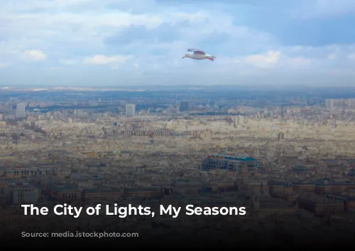 The City of Lights, My Seasons