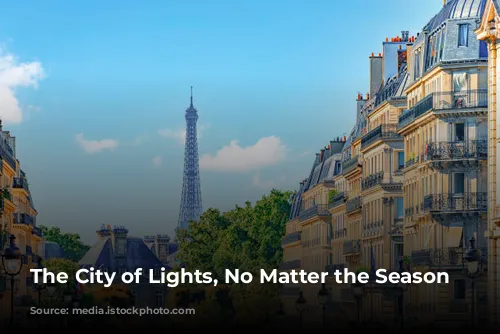 The City of Lights, No Matter the Season