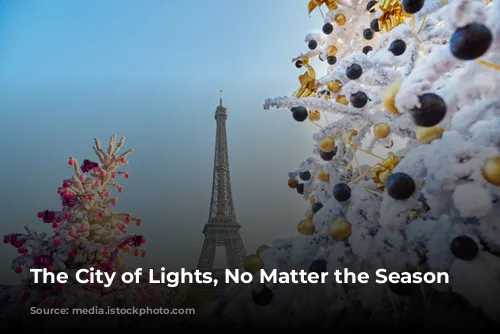 The City of Lights, No Matter the Season