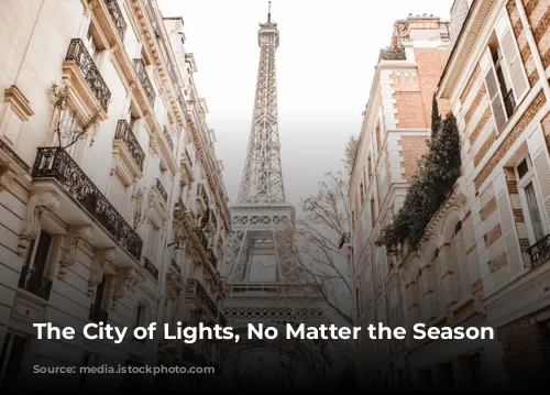 The City of Lights, No Matter the Season