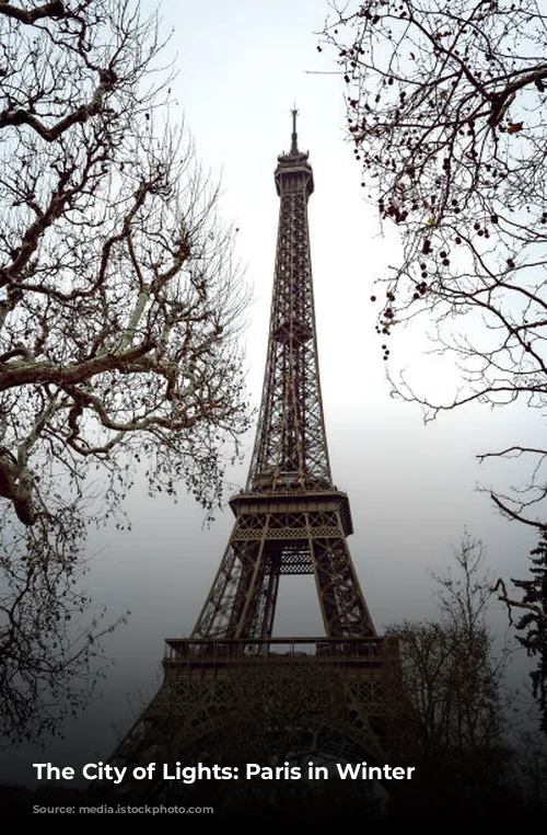 The City of Lights: Paris in Winter