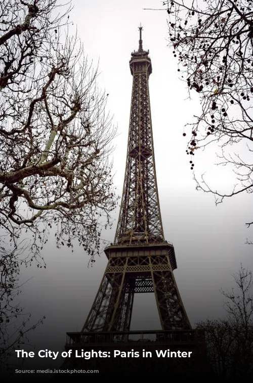 The City of Lights: Paris in Winter