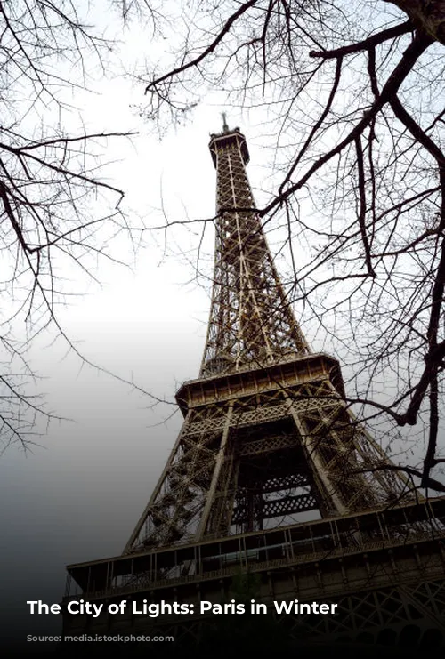 The City of Lights: Paris in Winter