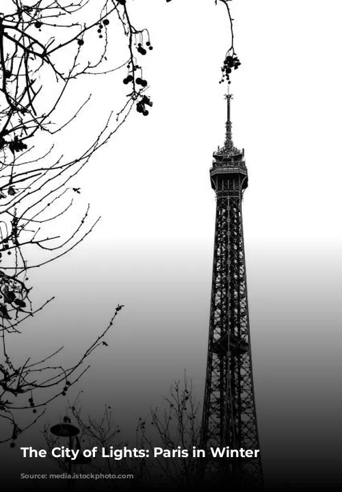 The City of Lights: Paris in Winter