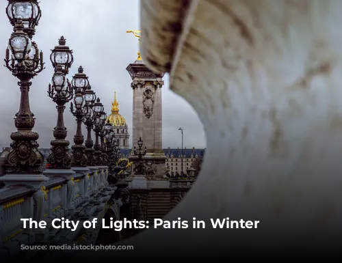 The City of Lights: Paris in Winter