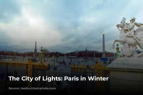 The City of Lights: Paris in Winter