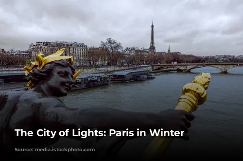 The City of Lights: Paris in Winter