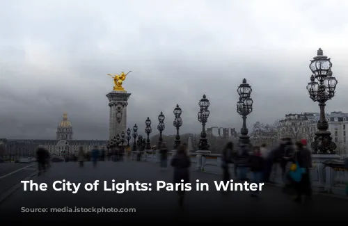 The City of Lights: Paris in Winter