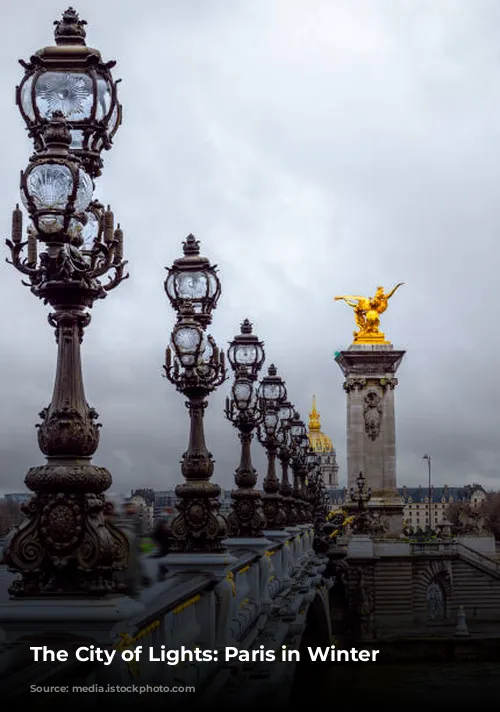 The City of Lights: Paris in Winter