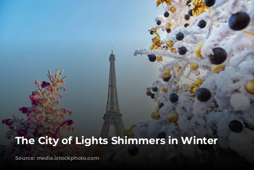 The City of Lights Shimmers in Winter