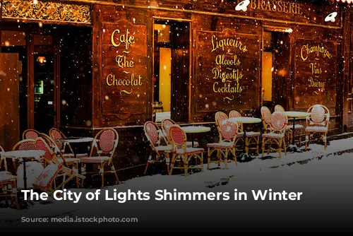 The City of Lights Shimmers in Winter